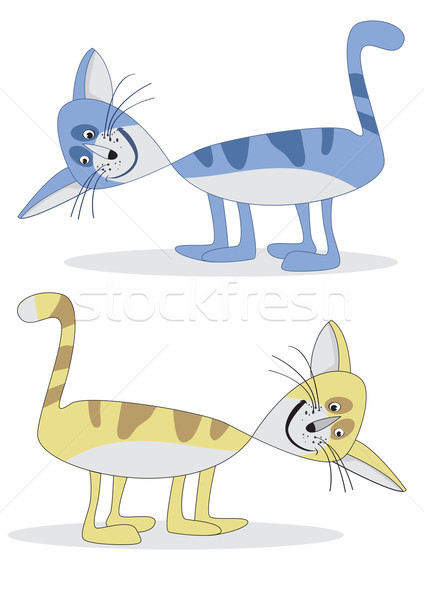 Twee kat een Geel Blauw ogen Stockfoto © iaRada