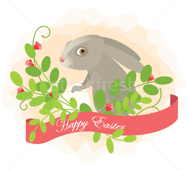 Easter rabbit Stock photo © iaRada