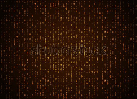 Vektör ikili kod altın büyük veri programlama Stok fotoğraf © Iaroslava