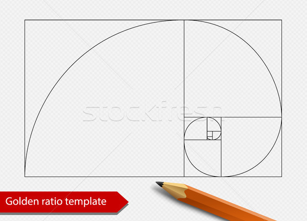 Golden ratio line graph template vector illustration. Fibonacci spiral proportion shape symbol Stock photo © Iaroslava