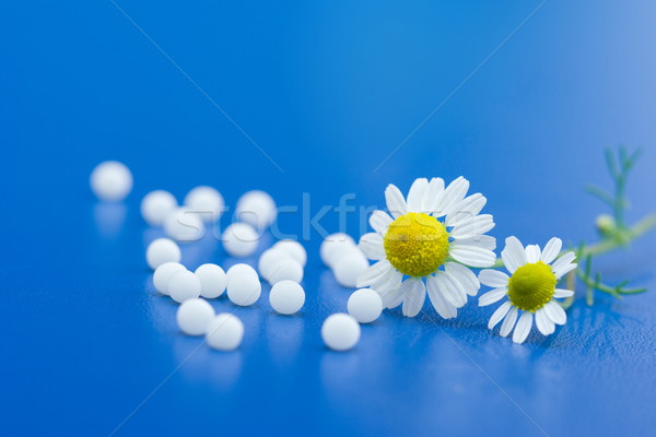 Stock fotó: Homeopatikus · gyógyszer · kamilla · virág · kék · felület