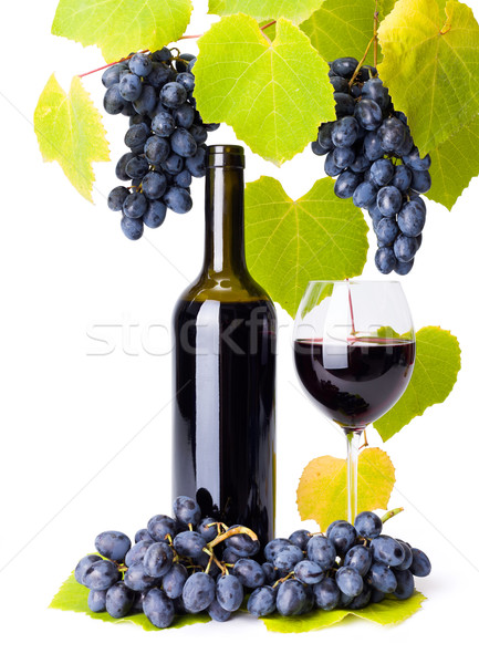Bottle and glass of red wine whit grape clusters Stock photo © icefront