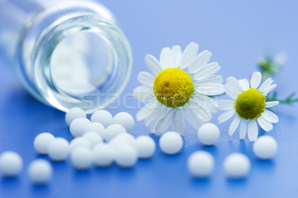 Homeopatikus gyógyszer kamilla virág kék felület Stock fotó © icefront