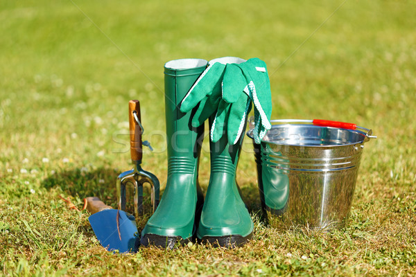 Gardening tools and equipment Stock photo © icefront