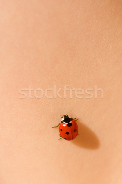 Ladybug on skin Stock photo © icefront