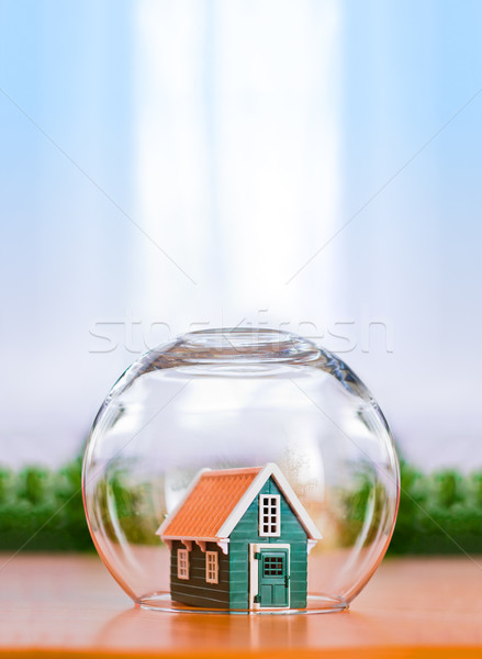 家 保護 保険 被保険者 おもちゃ 保護された ストックフォト © icefront