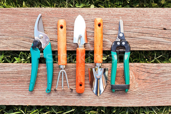 Set of small gardening tools Stock photo © icefront