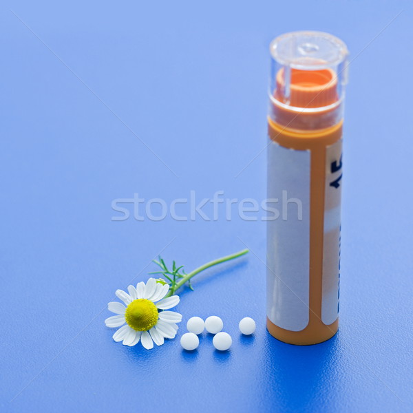 Homeopatycznych lek rumianek kwiat niebieski powierzchnia Zdjęcia stock © icefront