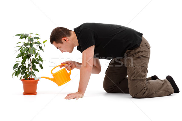 Young man watering flower Stock photo © icefront