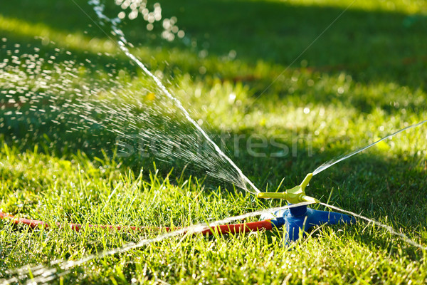 Irrigation herbe verte jardin sprinkler herbe domaine [[stock_photo]] © icefront