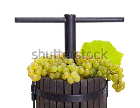 Grape pressing utensil and barrel with white grapes Stock photo © icefront