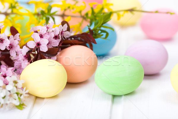 Easter eggs and blooming branch Stock photo © icefront