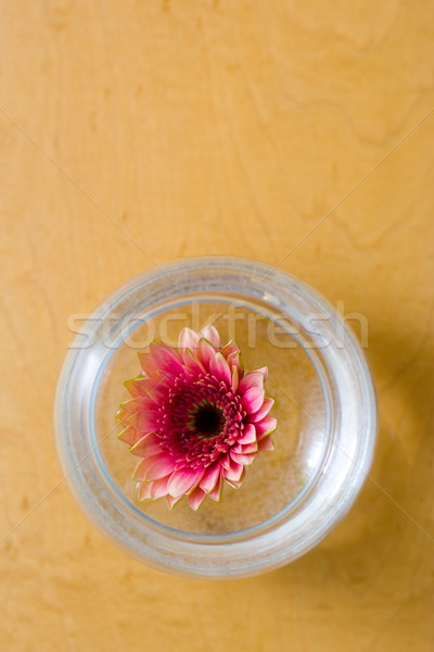 Simple ikebana Stock photo © icefront