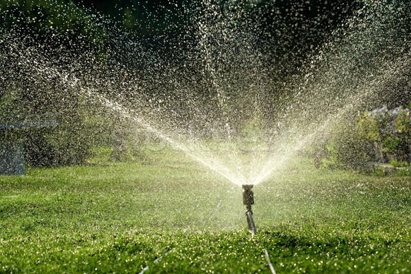 Irrigatie waterdruppels weg water zomer Stockfoto © icefront