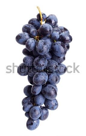 Kék szőlő gyülekezet nedves izolált fehér Stock fotó © icefront