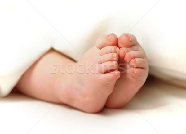 Baby feet Stock photo © icefront