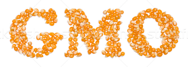 GMO script made of seeds Stock photo © icefront