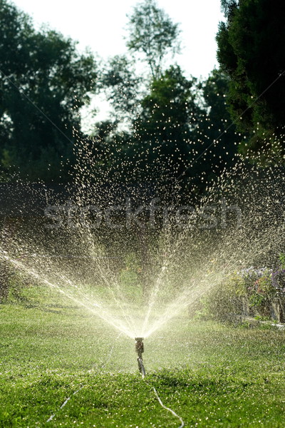 Foto stock: Irrigação · gotas · de · água · longe · água · verão