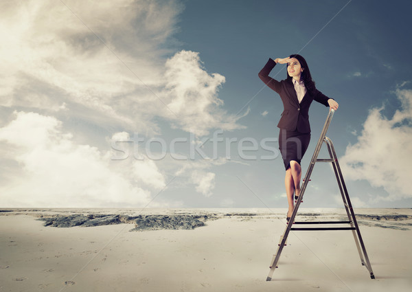 Businesswoman on a ladder looking faraway in a desert Stock photo © ichiosea