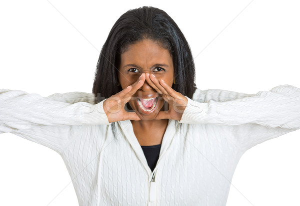 angry middle aged woman having nervous breakdown screaming Stock photo © ichiosea