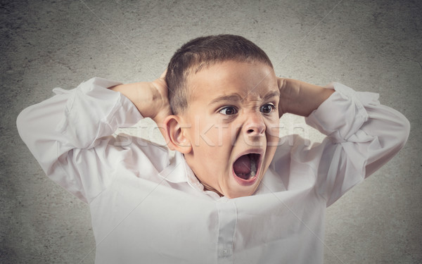 Angry boy screaming Stock photo © ichiosea