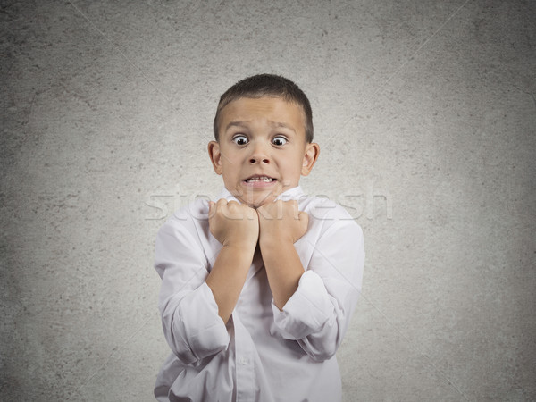 Zły dziecko chłopca nerwowy portret Zdjęcia stock © ichiosea