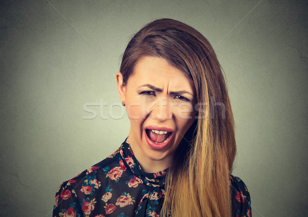 angry young woman having nervous breakdown, screaming crying Stock photo © ichiosea