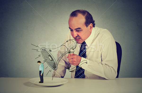 Business man boss screaming through megaphone at young scared colleague  Stock photo © ichiosea