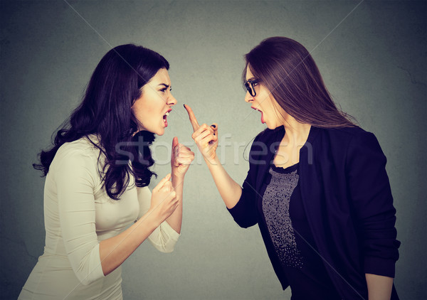 Fight. Two women screaming at each other  Stock photo © ichiosea