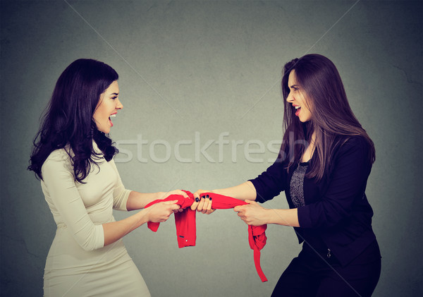 two greedy women fighting for red tank-top on gray wall background  Stock photo © ichiosea