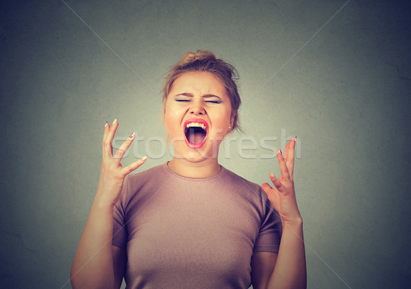 angry woman Stock photo © ichiosea