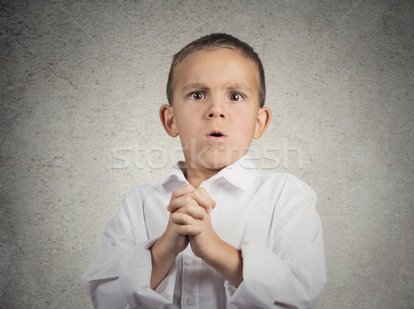 Surprised child, boy Stock photo © ichiosea