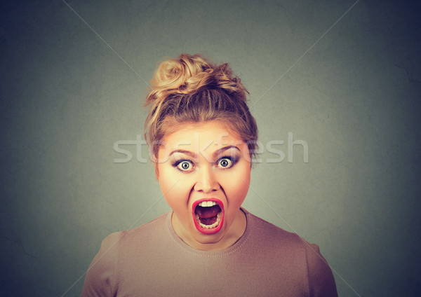 Angry woman Stock photo © ichiosea