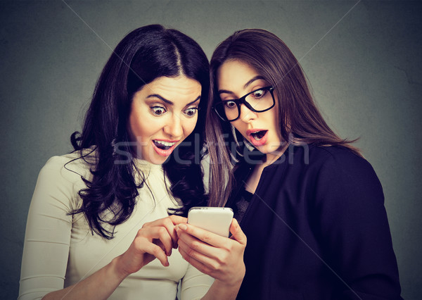Two amazed women roommates watching offers on line on a smart phone. Stock photo © ichiosea