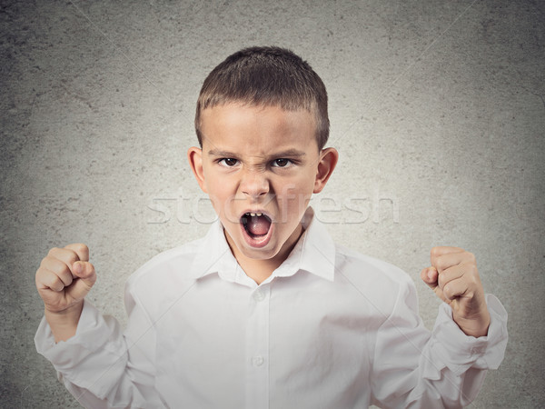 Colère garçon hurlant exigeant quelque chose [[stock_photo]] © ichiosea
