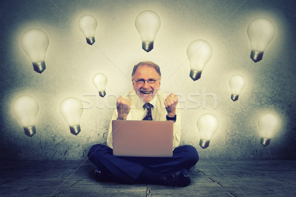 Senior man working on computer with light bulb plugged in it celebrates business success Stock photo © ichiosea