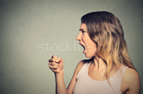 Angry woman screaming with fist up in air  Stock photo © ichiosea