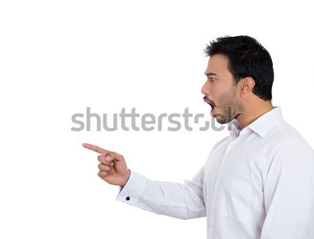 Shocked pointing Stock photo © ichiosea