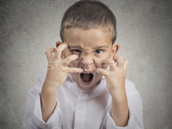 Stock fotó: Mérges · gyermek · fiú · sikít · közelkép · portré