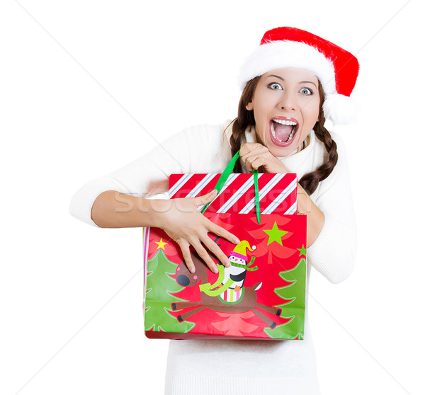Happy christmas woman holding a gift bag Stock photo © ichiosea