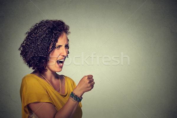 Angry woman screaming with fist up in air  Stock photo © ichiosea