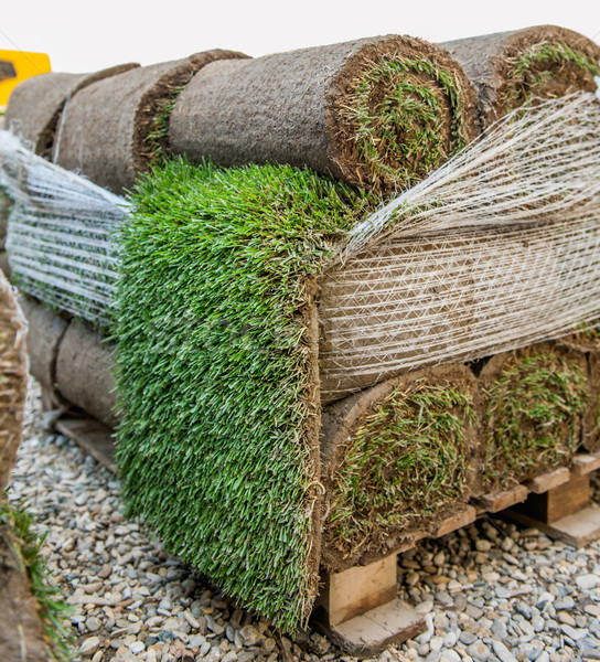 Green new turf grass roll  Stock photo © ifeelstock