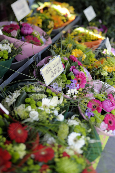 Kwiat rynku słynny Paryż Francja przydatny Zdjęcia stock © ifeelstock