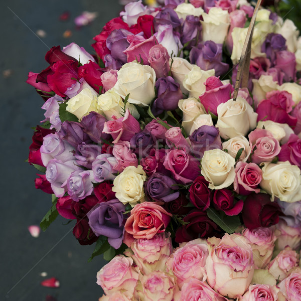 Roses fleur marché Paris fraîches matin [[stock_photo]] © ifeelstock