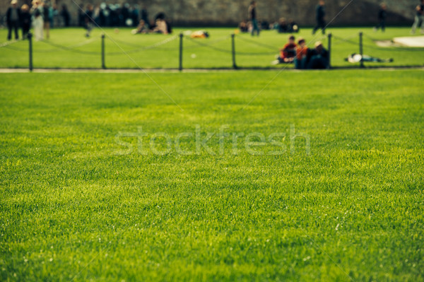 Grünen Rasen perfekt Menschen genießen groß Stock foto © ifeelstock