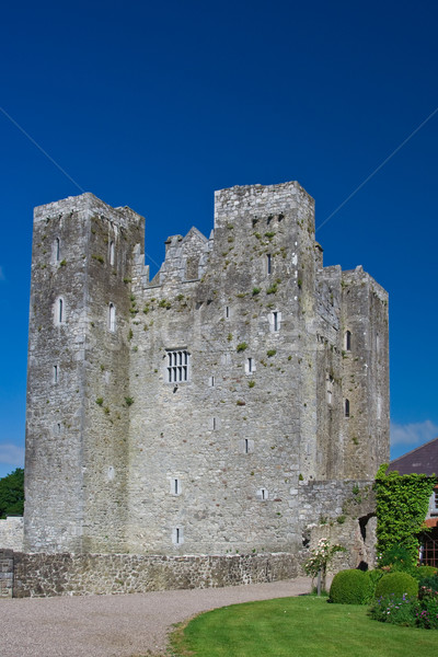 Zamek Irlandia budynku okno architektury historii Zdjęcia stock © igabriela