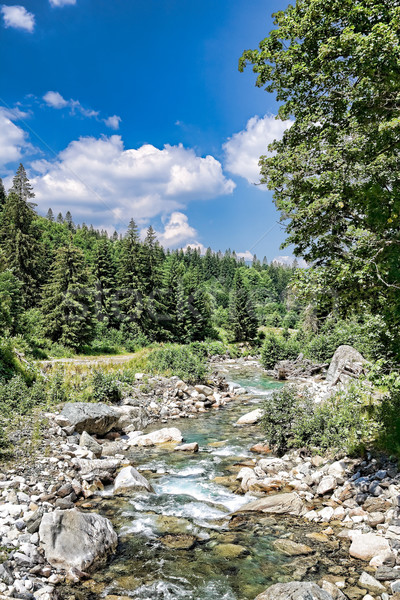 кобыла реке гор Румыния воды лес Сток-фото © igabriela