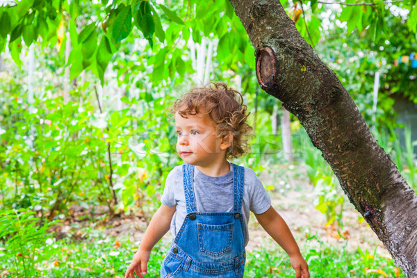 1 год ребенка мальчика портрет саду Вишневое Сток-фото © igabriela