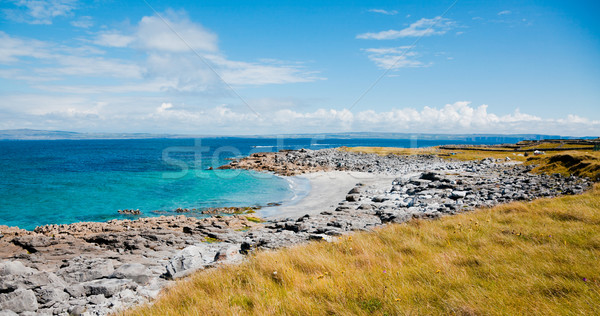 ストックフォト: 島 · 小 · ビーチ · 夏 · アイルランド · 風景