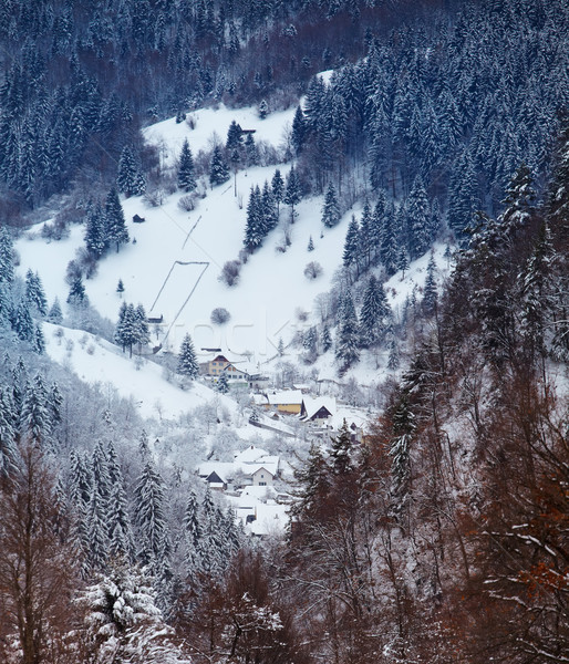 Moeciu village in winter Stock photo © igabriela